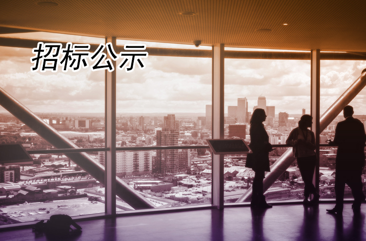 扬州全域旅游有限公司零星维修改造工程竞争性磋商公告